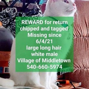 Meet your Posher, Evelyn